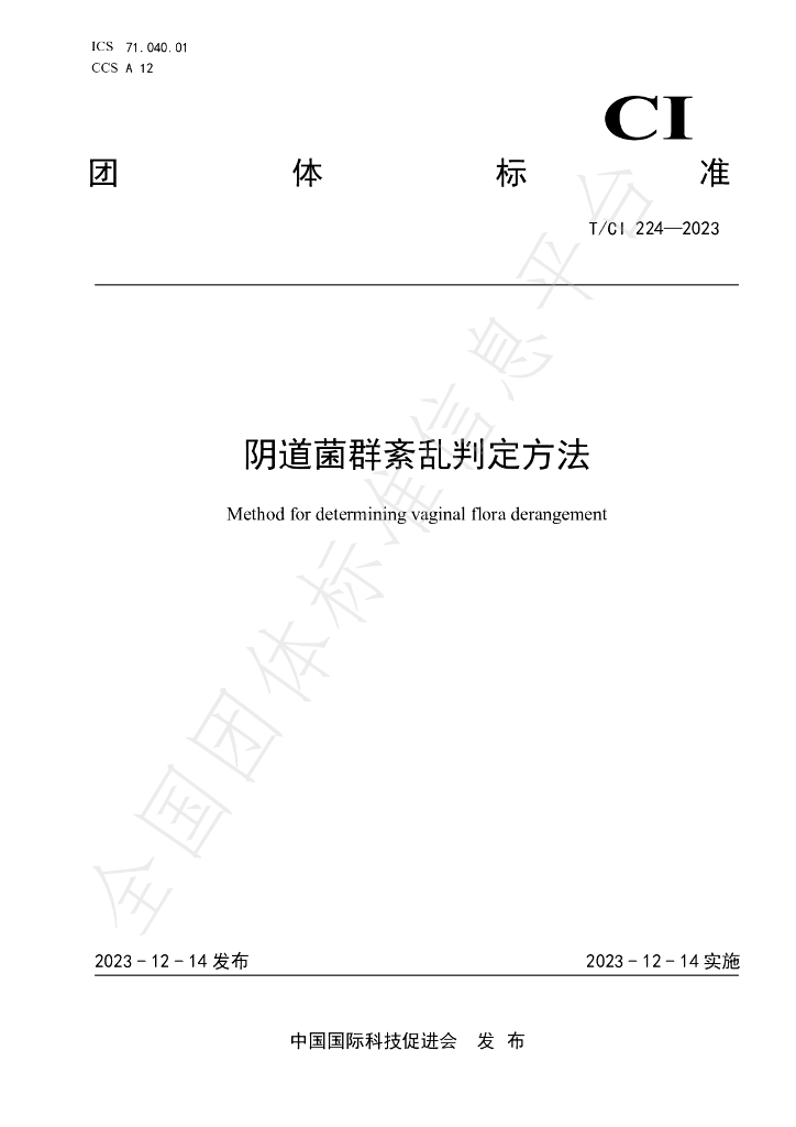 T/CI 224-2023 标准预览