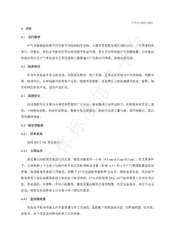 T/NAIA 0253-2023 标准预览