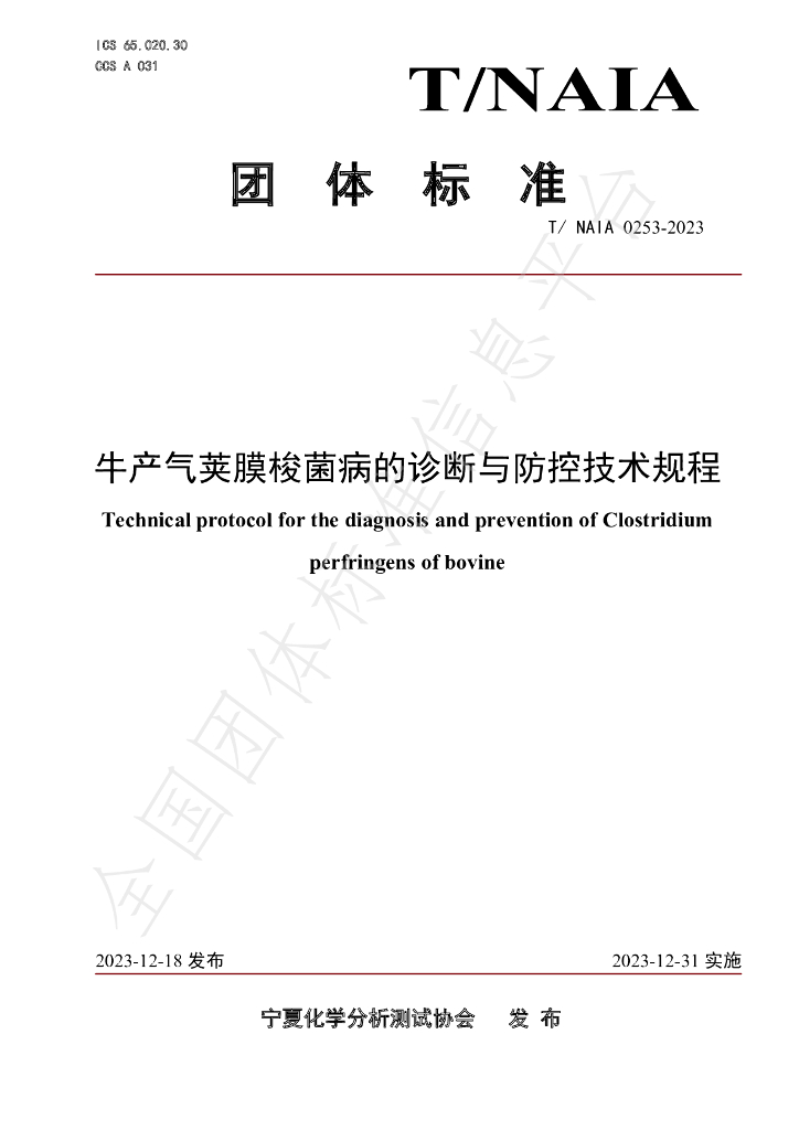 T/NAIA 0253-2023 标准预览