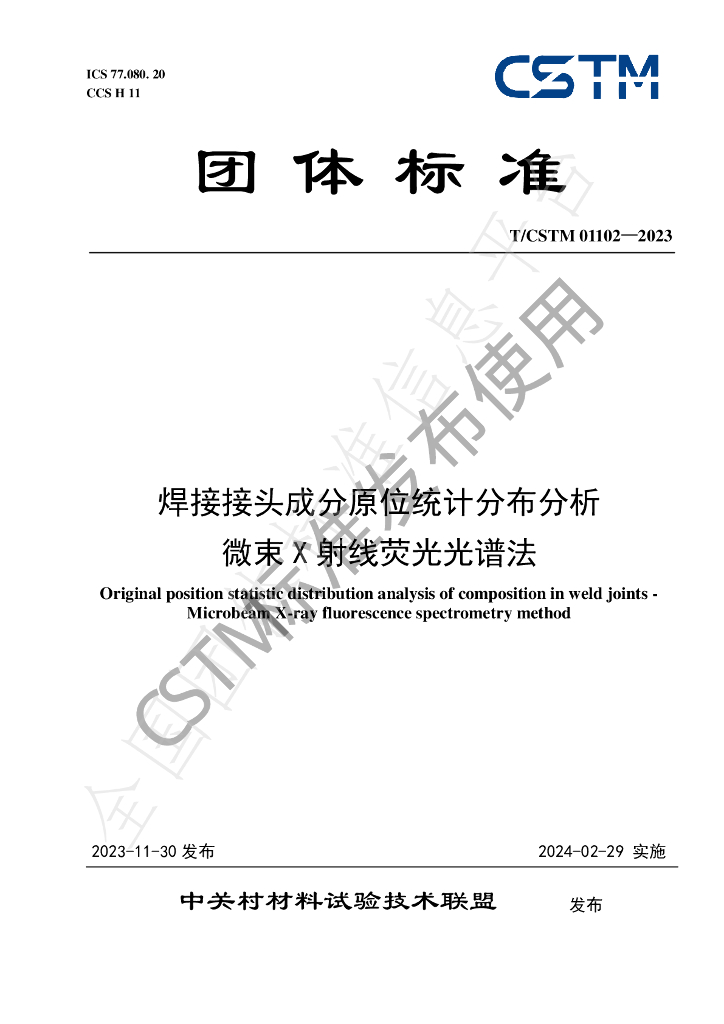 T/CSTM 01102-2023 标准预览