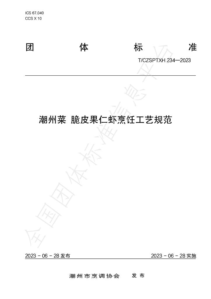 T/CZSPTXH 234-2023 标准预览