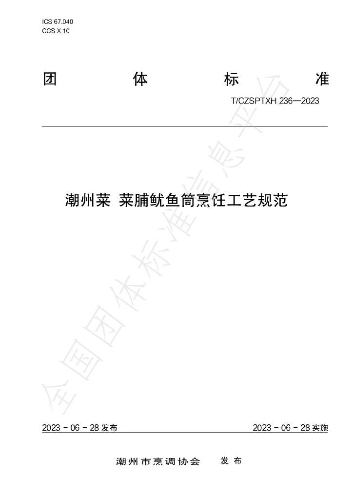 T/CZSPTXH 236-2023 标准预览