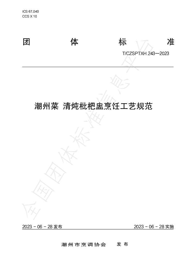 T/CZSPTXH 243-2023 标准预览