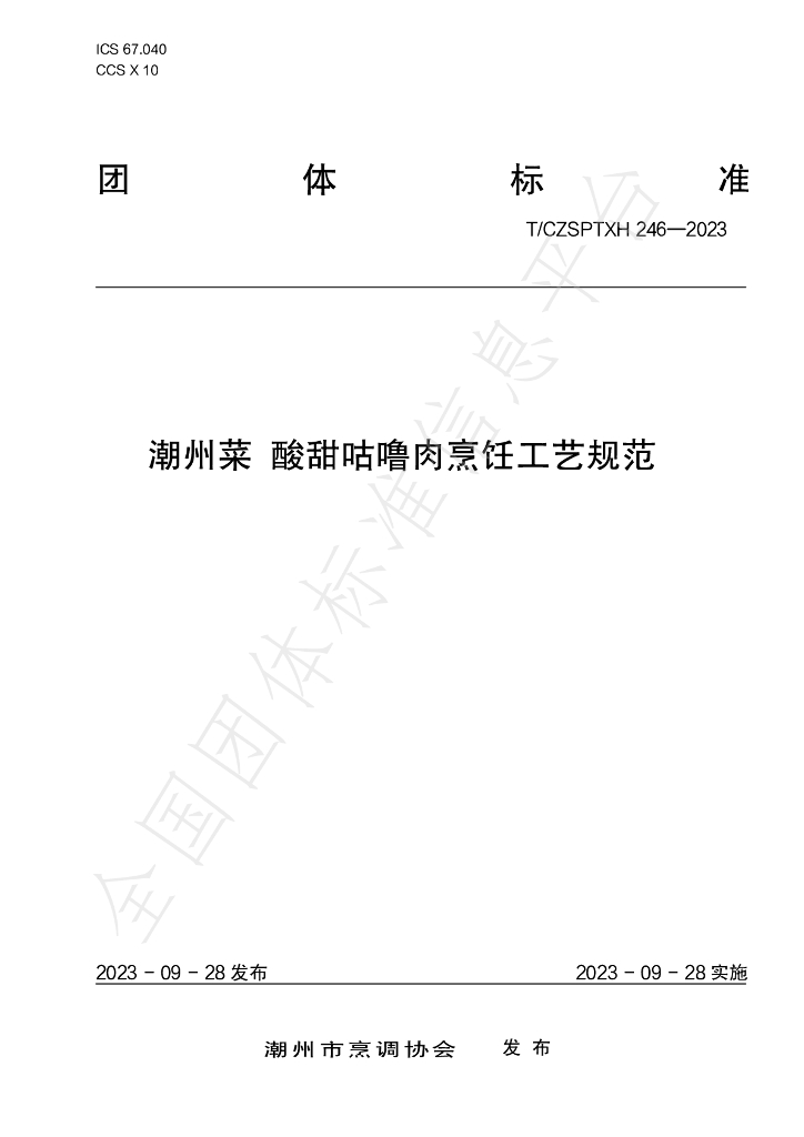 T/CZSPTXH 246-2023 标准预览