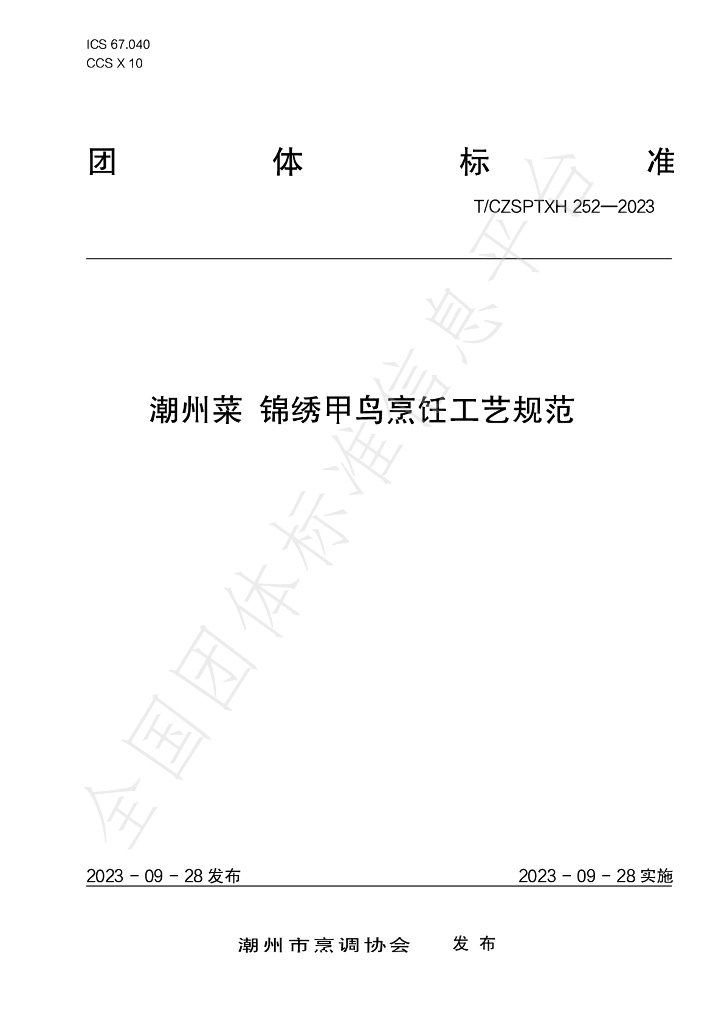 T/CZSPTXH 252-2023 标准预览