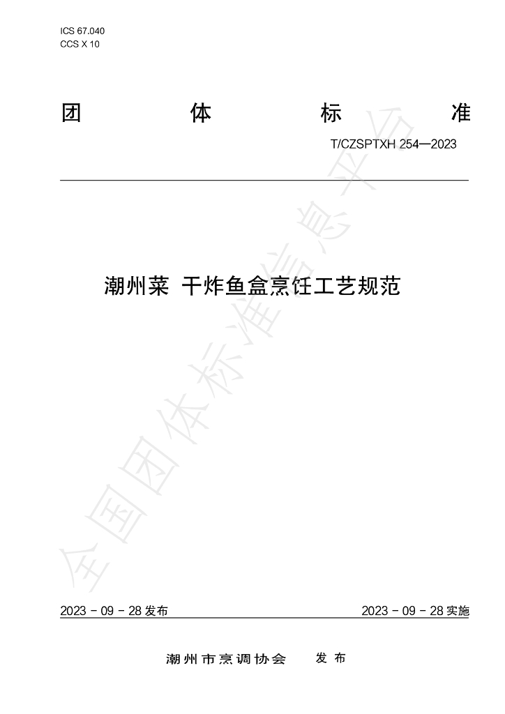 T/CZSPTXH 254-2023 标准预览