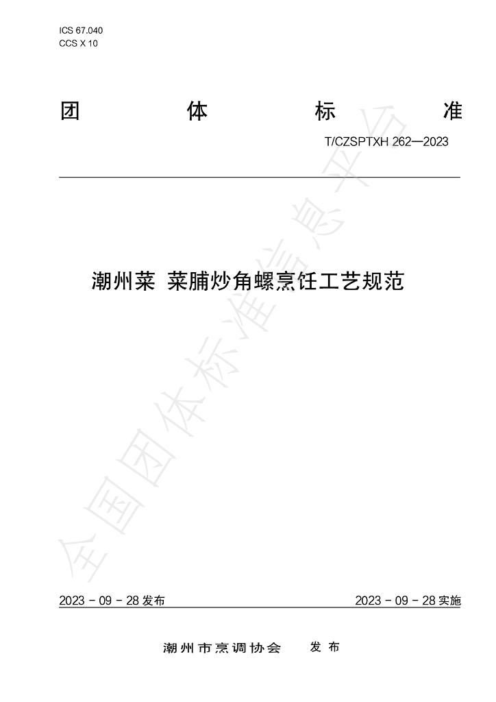T/CZSPTXH 262-2023 标准预览