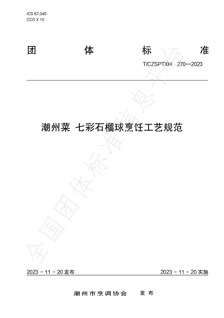 T/CZSPTXH 270-2023 标准预览