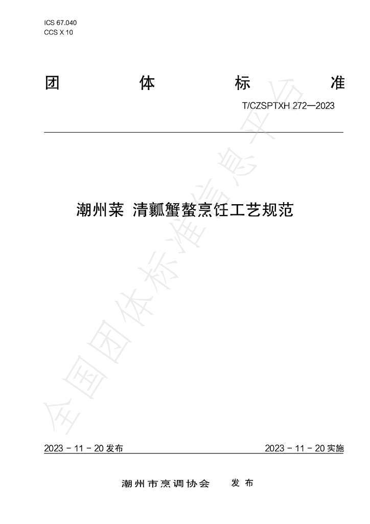 T/CZSPTXH 272-2023 标准预览