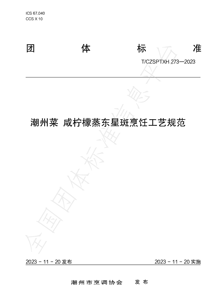 T/CZSPTXH 273-2023 标准预览