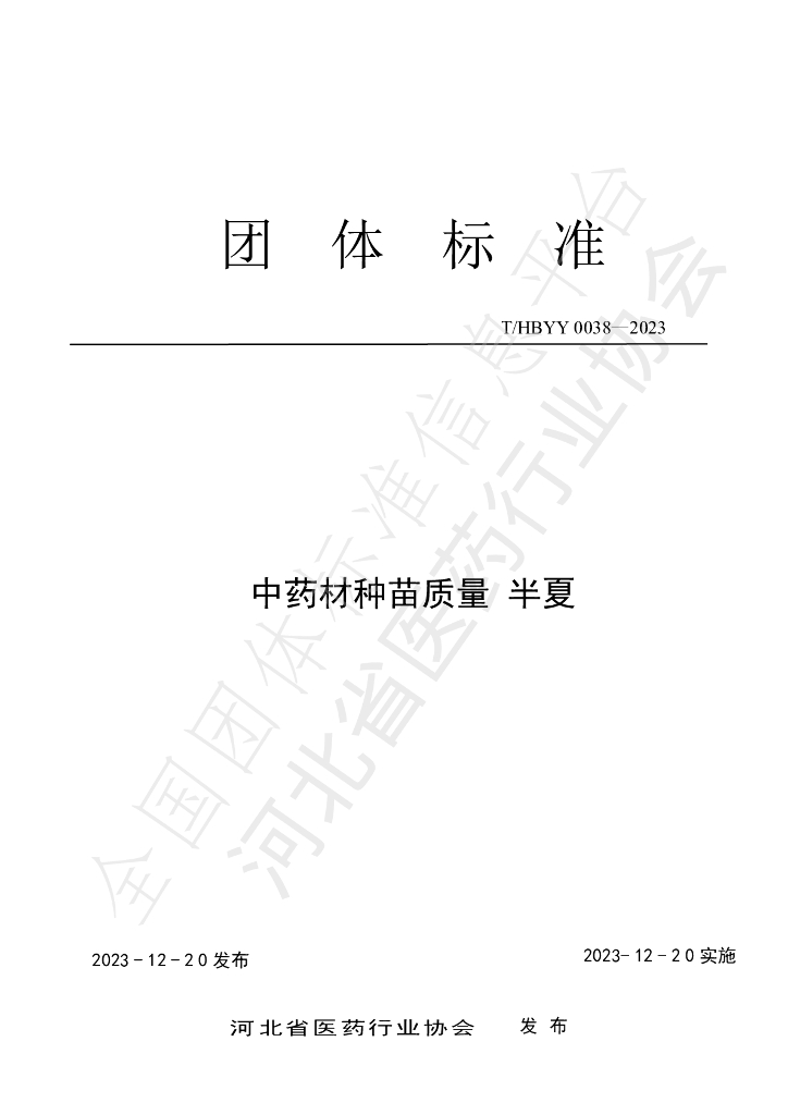 T/HBYY 0038-2023 标准预览
