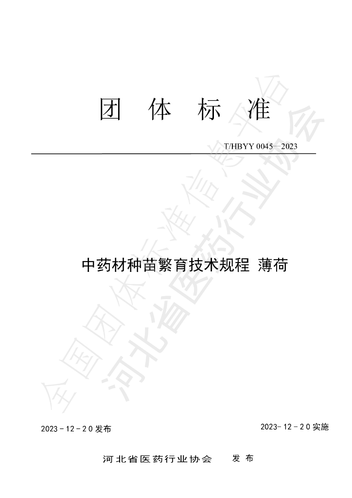 T/HBYY 0045-2023 标准预览