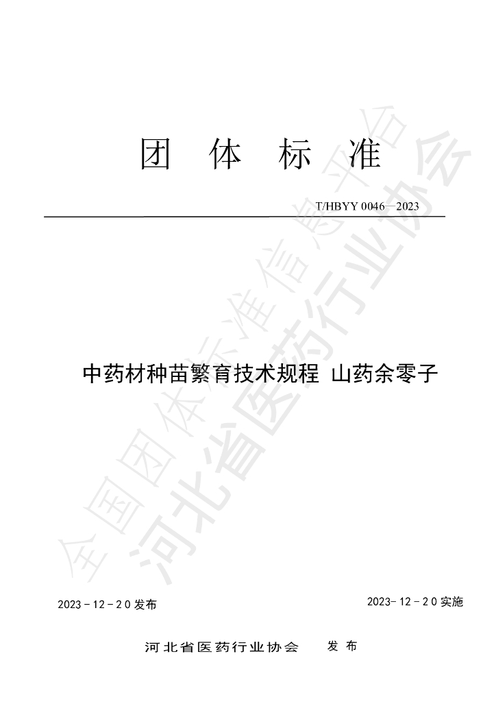 T/HBYY 0046-2023 标准预览