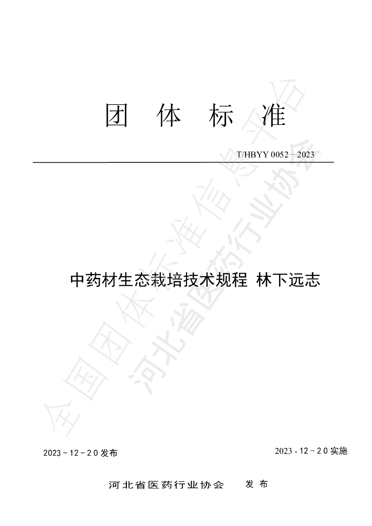 T/HBYY 0052-2023 标准预览