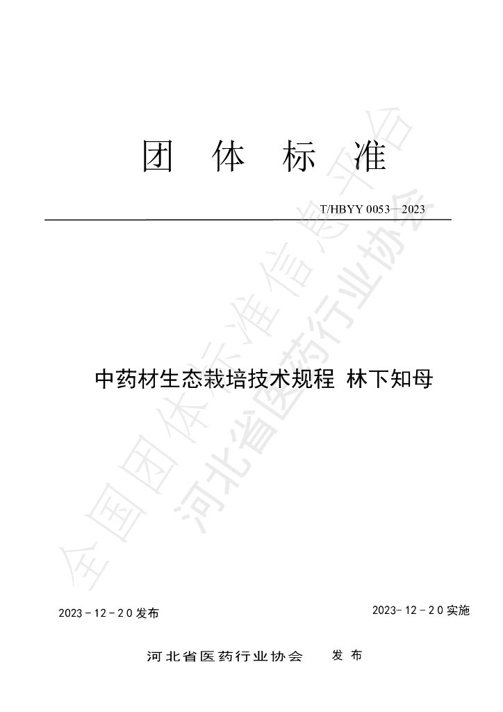 T/HBYY 0053-2023 标准预览