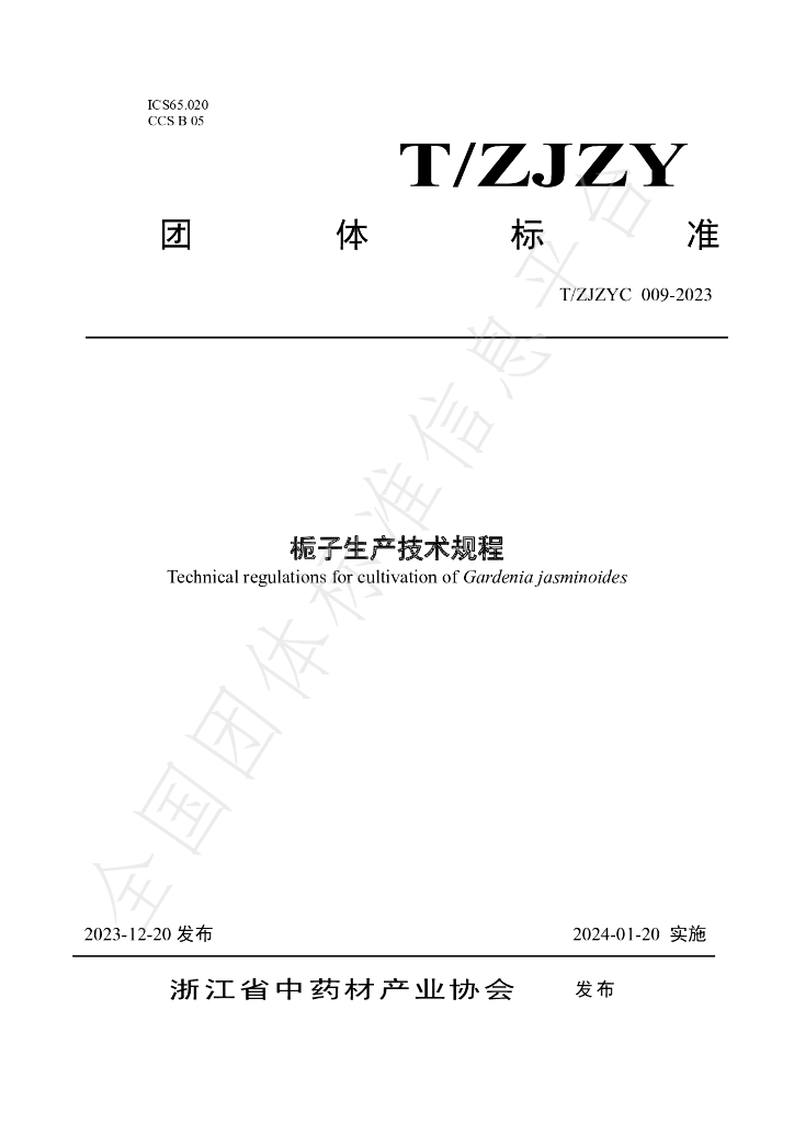 T/ZJZYC 009-2023 标准预览