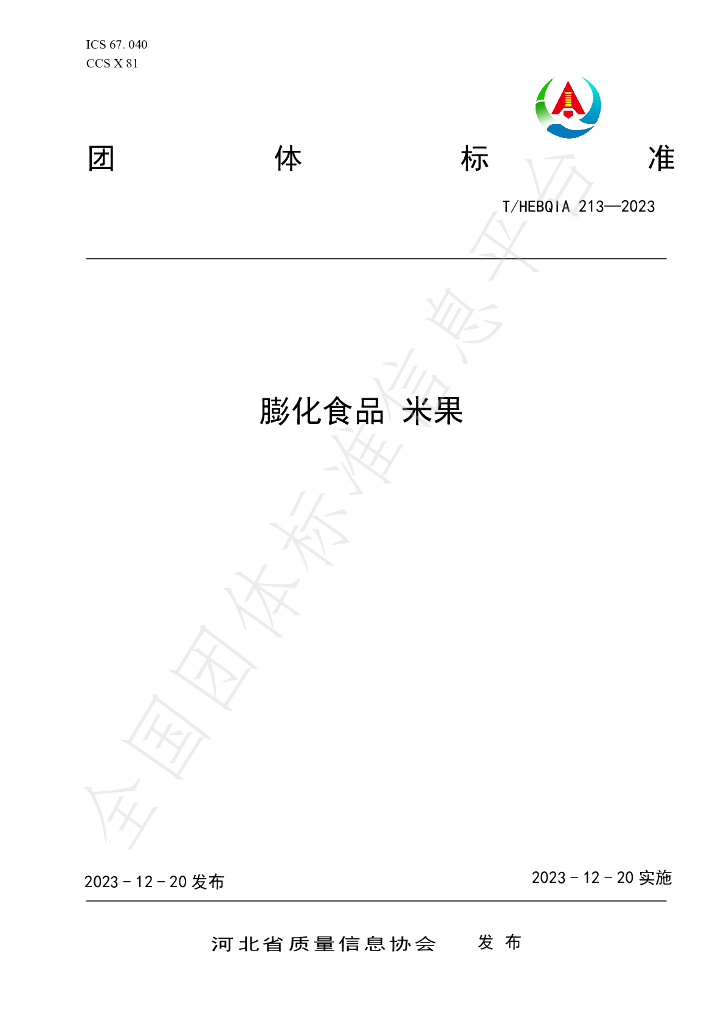 T/HEBQIA 213-2023 标准预览
