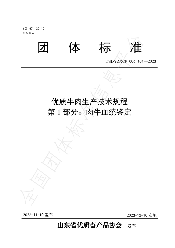 T/SDYZXCP 006.101-2023 标准预览