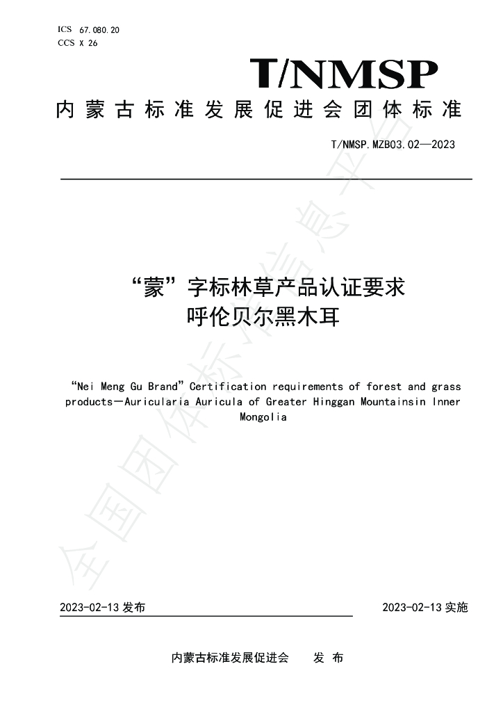 T/NMSP MZB03.02-2023 标准预览