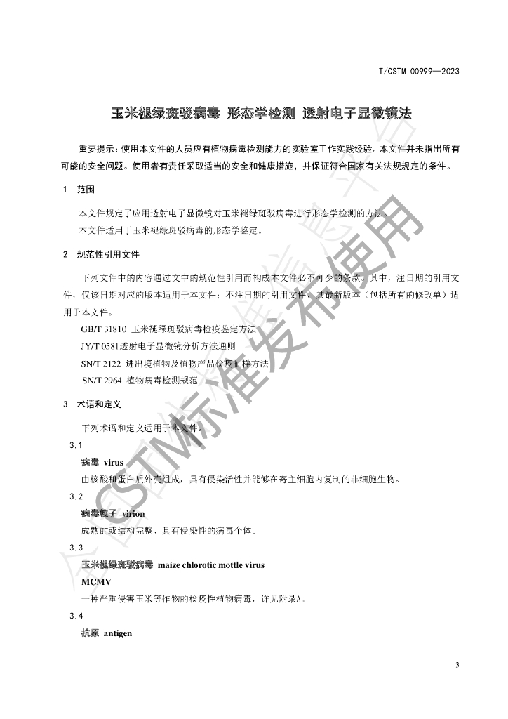 T/CSTM 00999-2023 标准预览