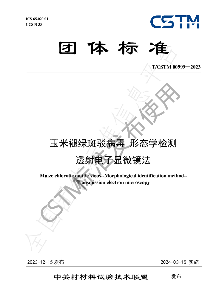 T/CSTM 00999-2023 标准预览