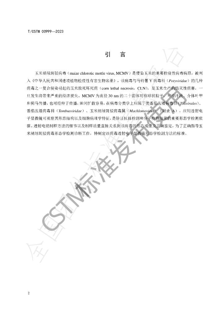 T/CSTM 00999-2023 标准预览