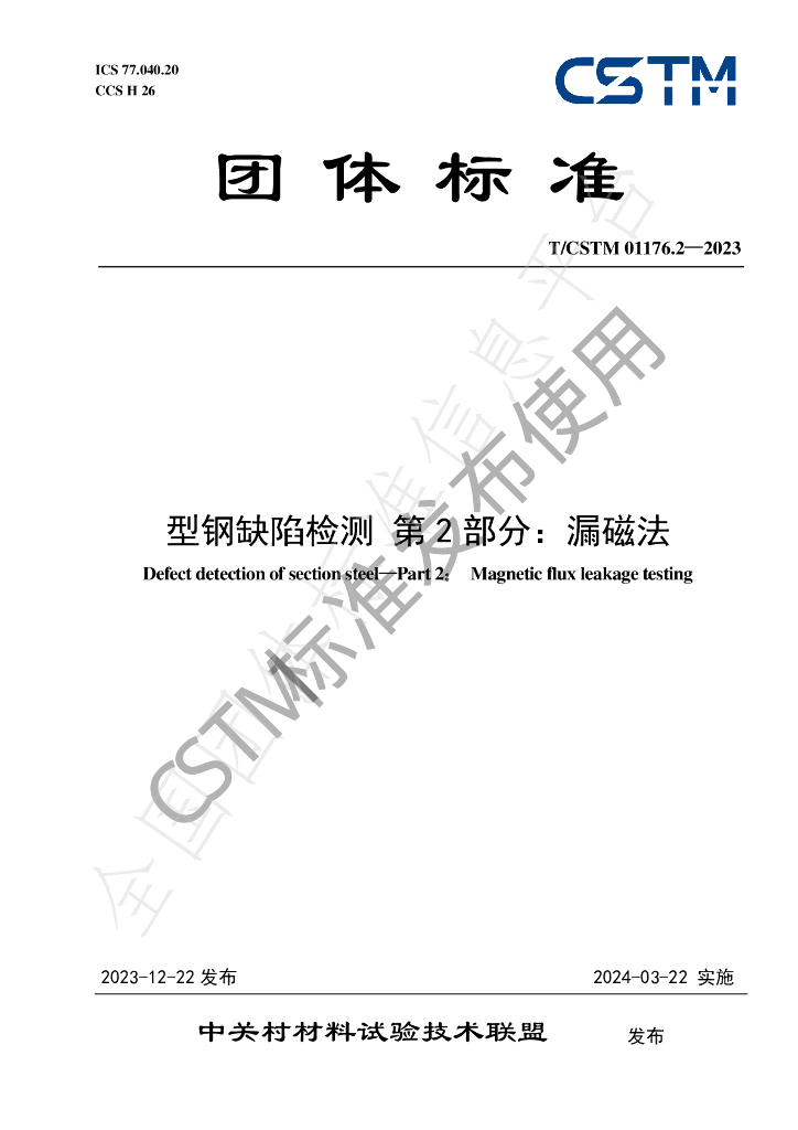 T/CSTM 01176.2-2023 标准预览