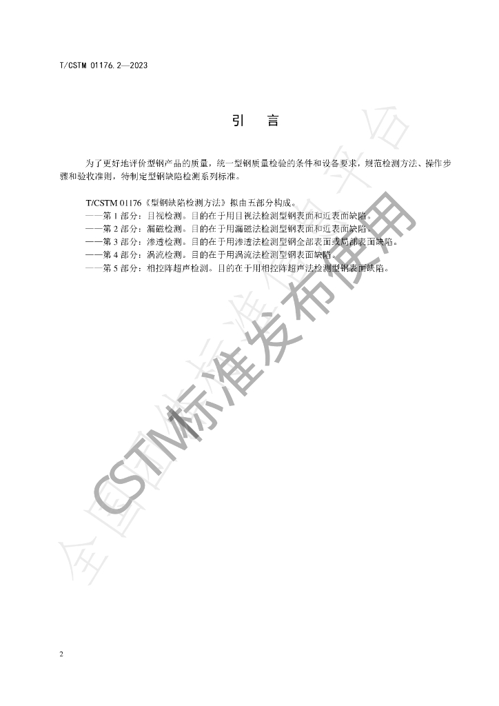 T/CSTM 01176.2-2023 标准预览