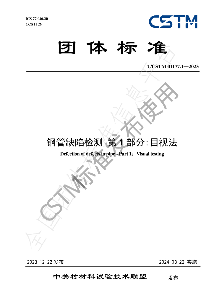 T/CSTM 01177.1-2023 标准预览