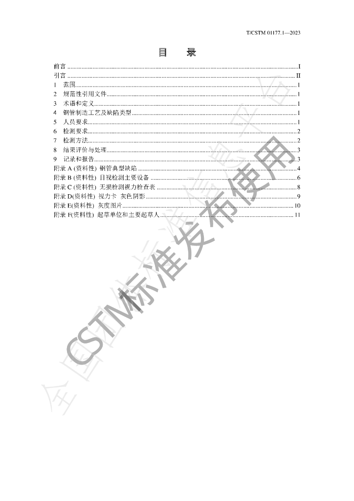 T/CSTM 01177.1-2023 标准预览