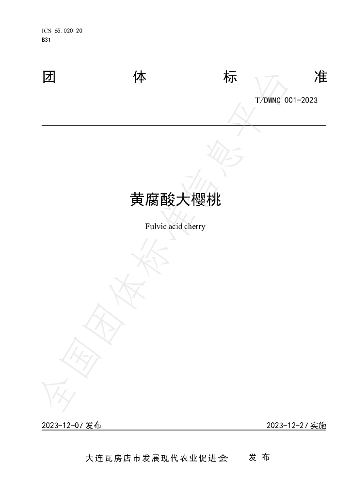 T/DWNC 001-2023 标准预览