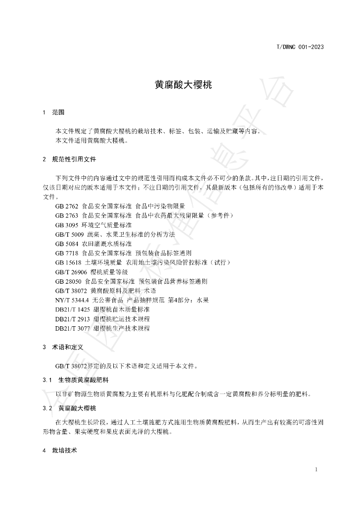 T/DWNC 001-2023 标准预览