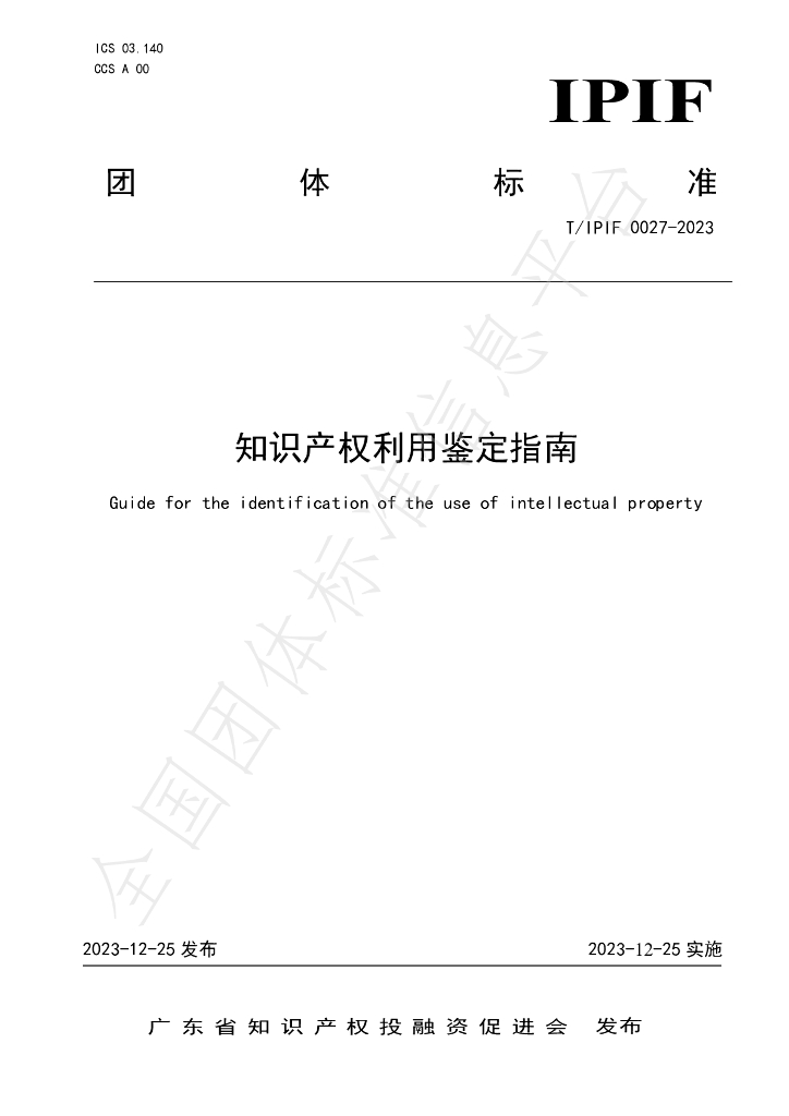 T/IPIF 0027-2023 标准预览