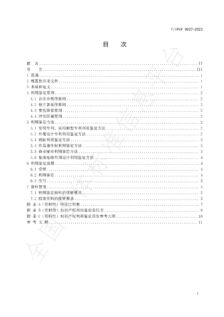 T/IPIF 0027-2023 标准预览