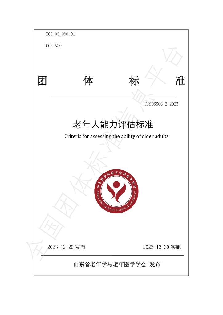 T/SDSSGG 2-2023 标准预览