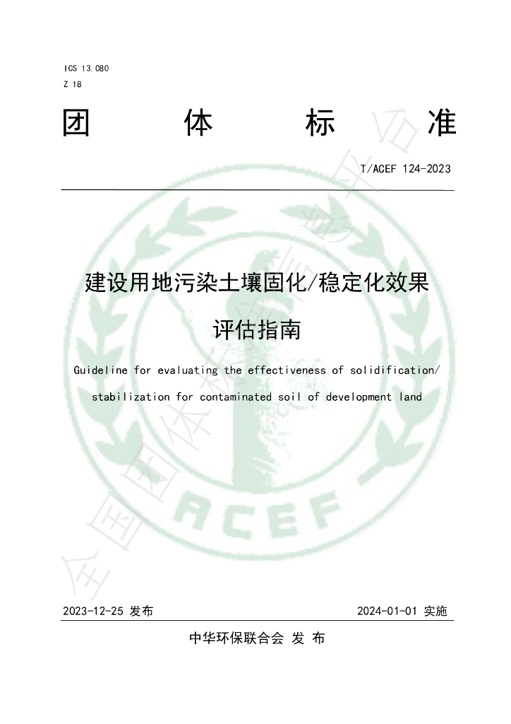 T/ACEF 124-2023 标准预览