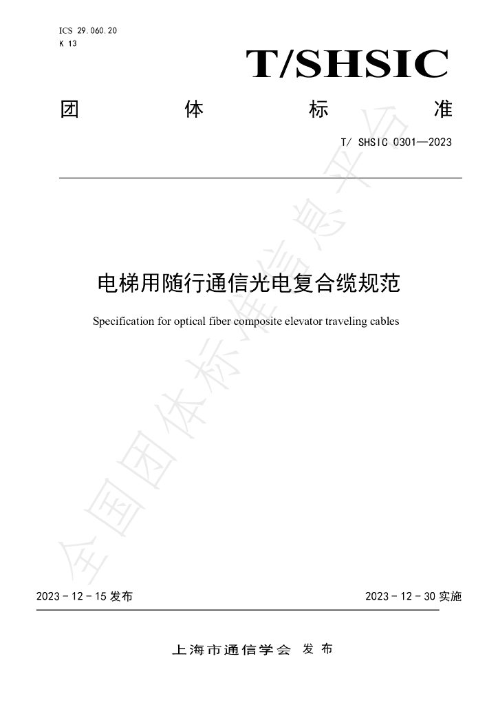 T/SHSIC 0301-2023 标准预览