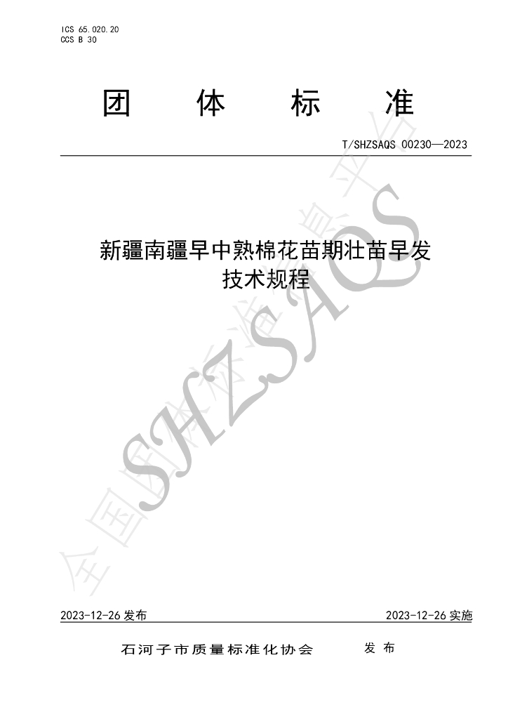 T/SHZSAQS 00230-2023 标准预览