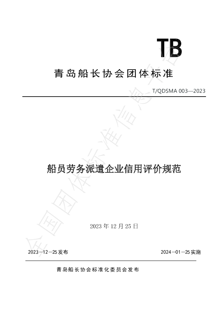 T/QDSMA 003-2023 标准预览