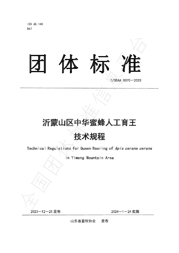 T/SDAA 0070-2023 标准预览