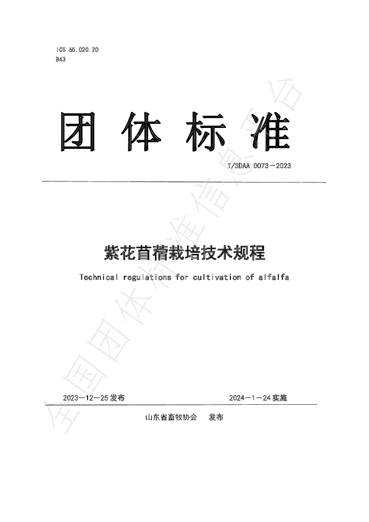 T/SDAA 0073-2023 标准预览