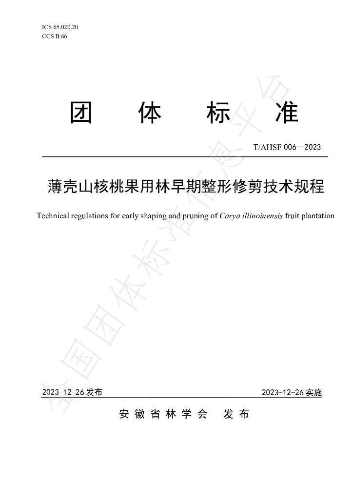 T/AHSF 006-2023 标准预览