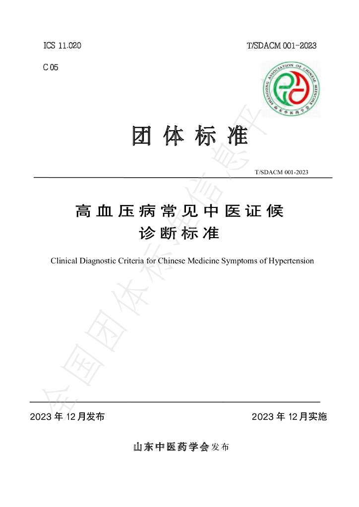 T/SDACM 001-2023 标准预览