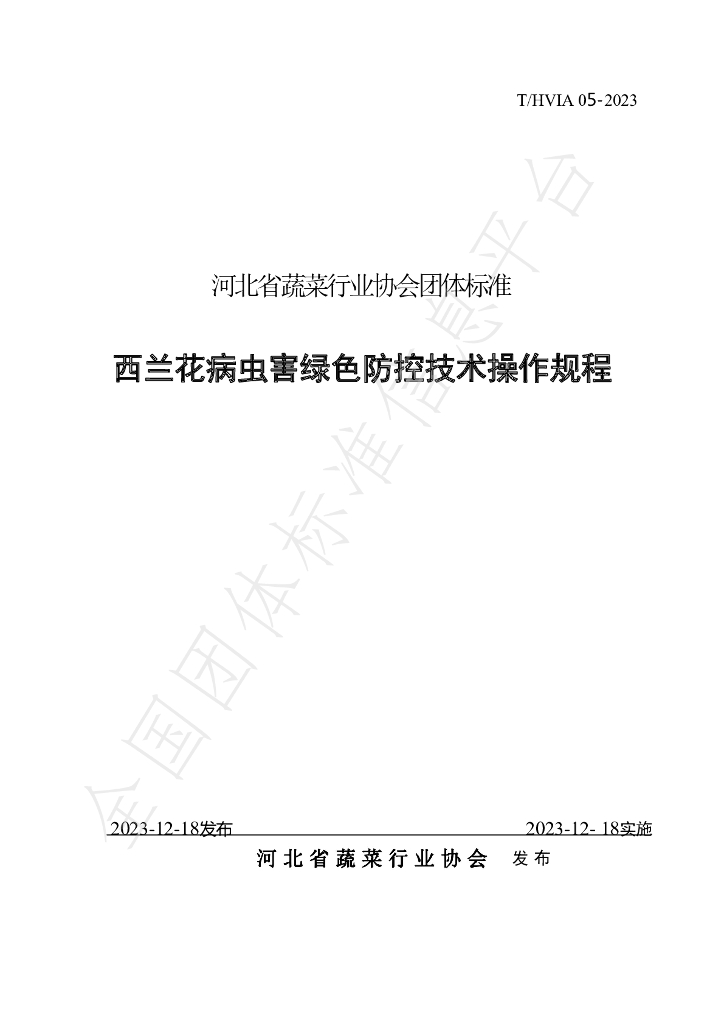 T/HVIA 05-2023 标准预览