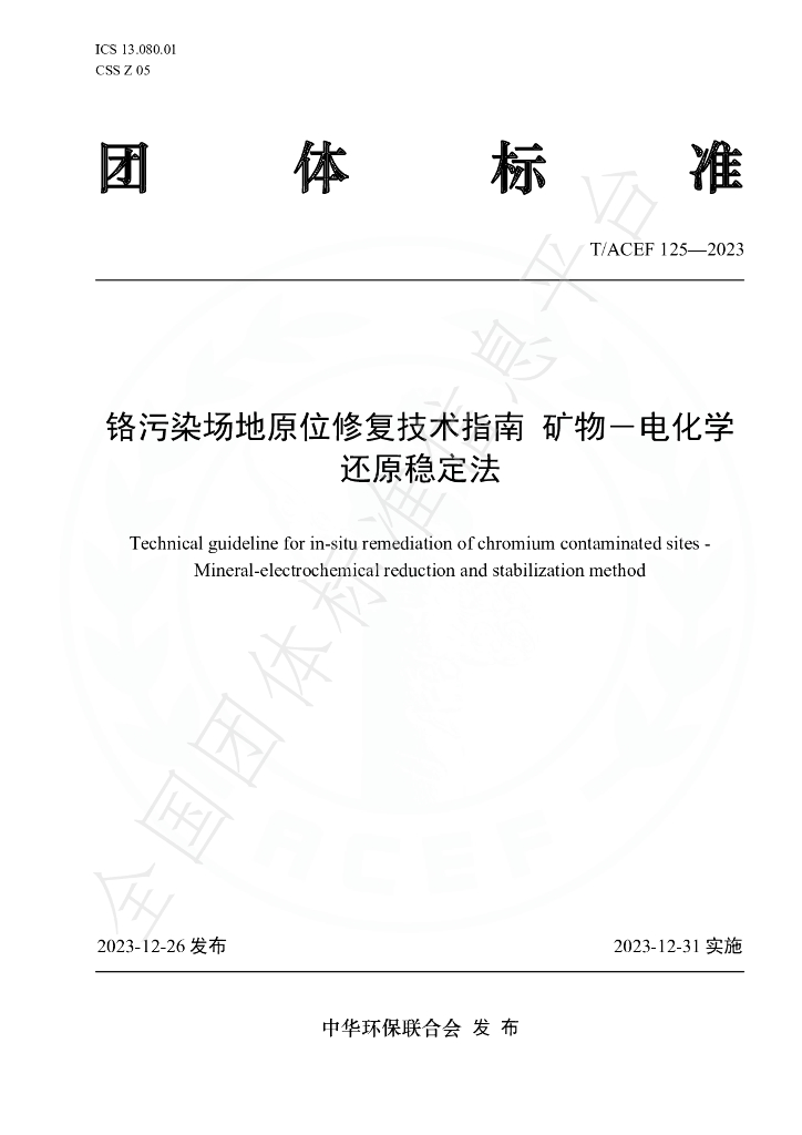 T/ACEF 125-2023 标准预览