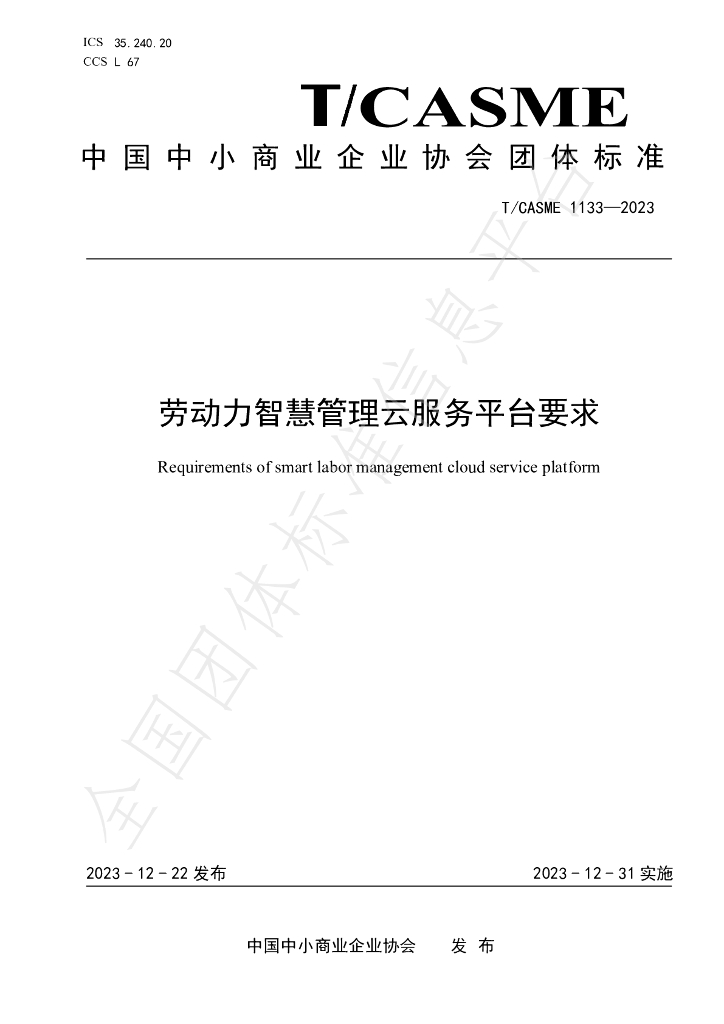 T/CASME 1133-2023 标准预览
