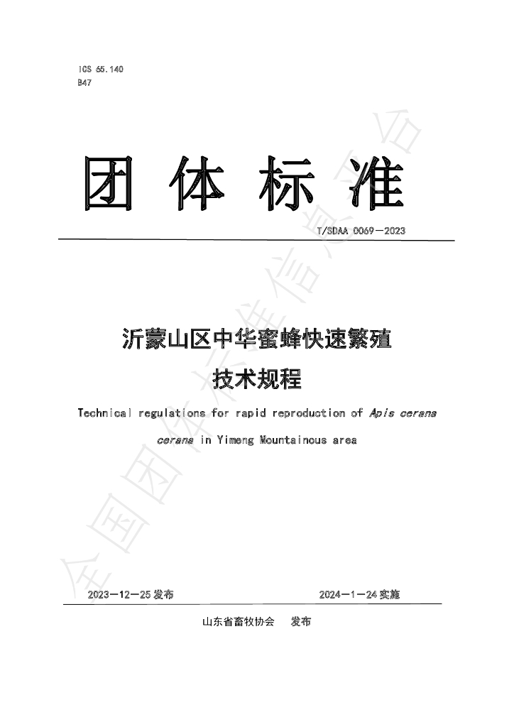 T/SDAA 0069-2023 标准预览