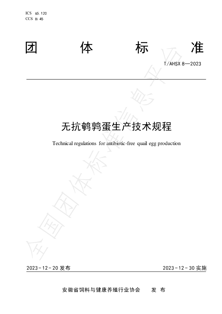 T/AHSX 8-2023 标准预览