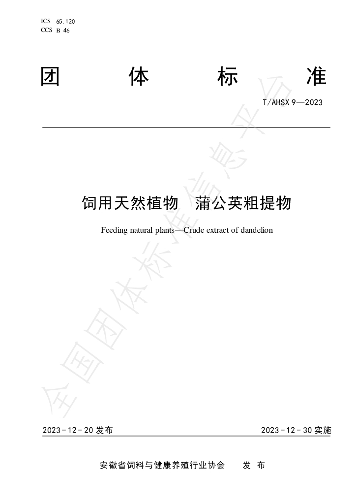T/AHSX 9-2023 标准预览