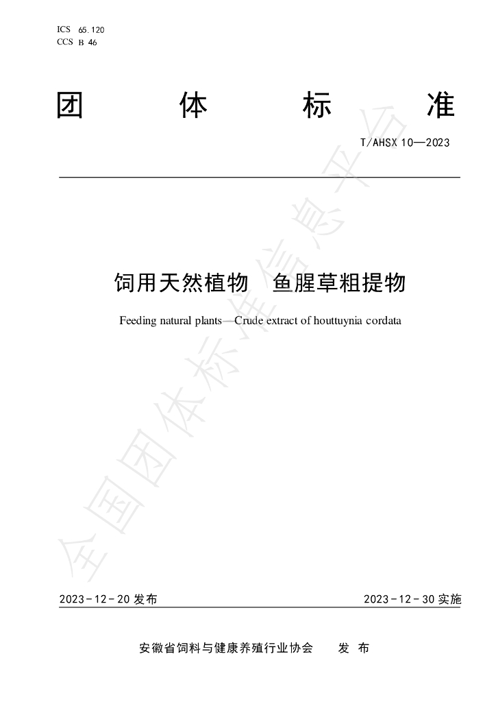 T/AHSX 10-2023 标准预览